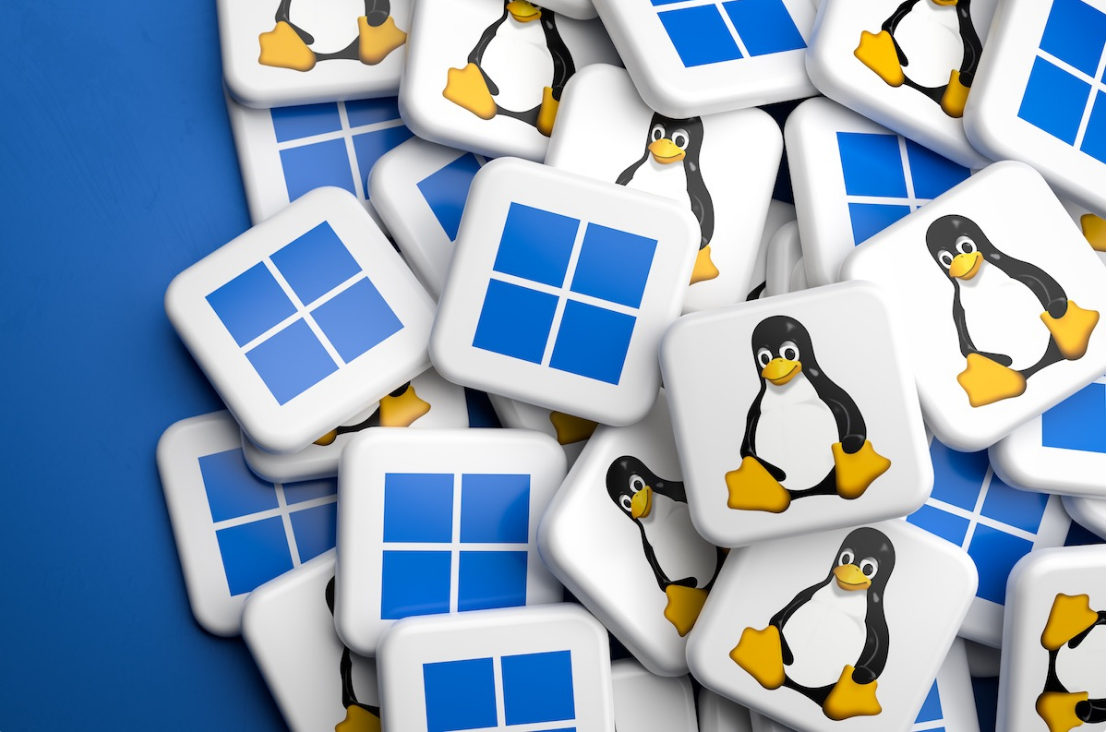 💻 Linux ou Windows : quel rôle côté serveur applicatif ?